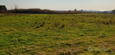 Terreno Agricolo Salerno [c25ca8d3-f562-435a-8VCG]