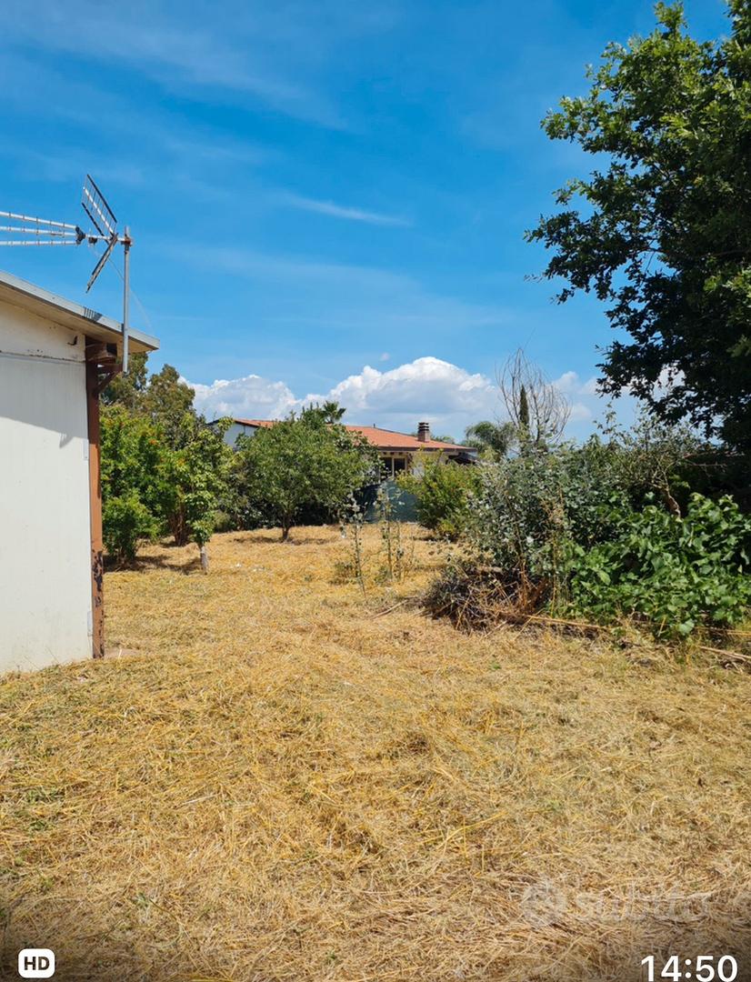 Terreno Sabaudia Pontinia - Vista 4