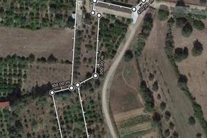 Terreno agricolo con pozzo acqua