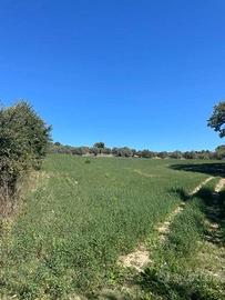 Terreno di 10000 m² a Spoltore