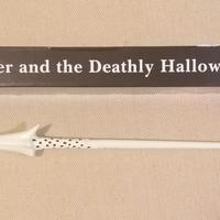 Harry Potter Bacchetta Magica 