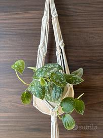 Portavaso appeso in macramè