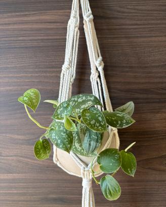 Portavaso appeso in macramè