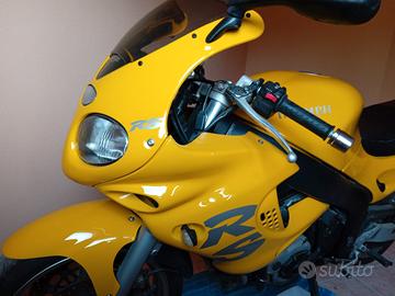 TRIUMPH RS 955I  A.S.I 