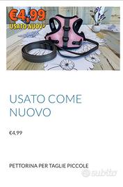 taglia piccola