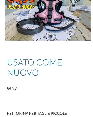 taglia piccola