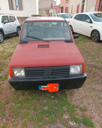 Panda young anno 2003 cc 1100