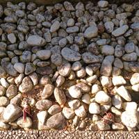 Sassi da giardino/esterni/riporto