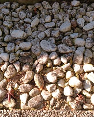 Sassi da giardino/esterni/riporto