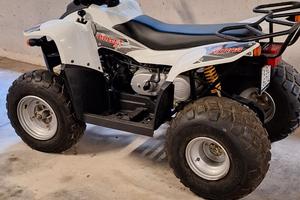 Quad Explorer Bullet 50