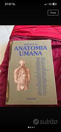 libro anatomia 3