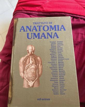 libro anatomia 3