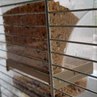 2 canarini maschi piu voliera imac