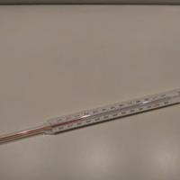 Termometro per alimenti