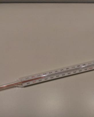 Termometro per alimenti