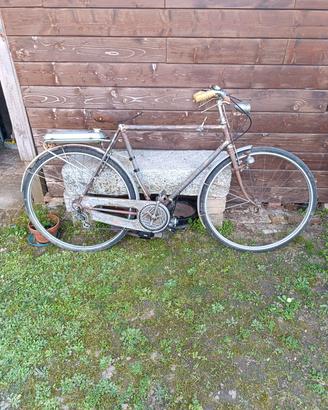 Bianchi/ mosquito 