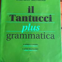 Il tantucci plus grammatica