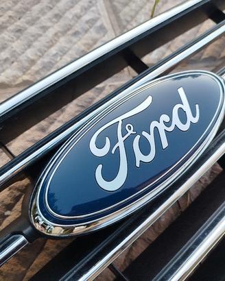 Griglia anteriore Ford Transit Custom 