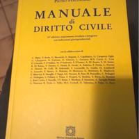 Manuale di diritto civile pierlingeri