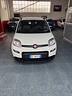 fiat-panda-1-0-firefly-s-s-hybrid-city-life