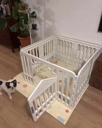 RECINTO CANI BIANCO 1*1M