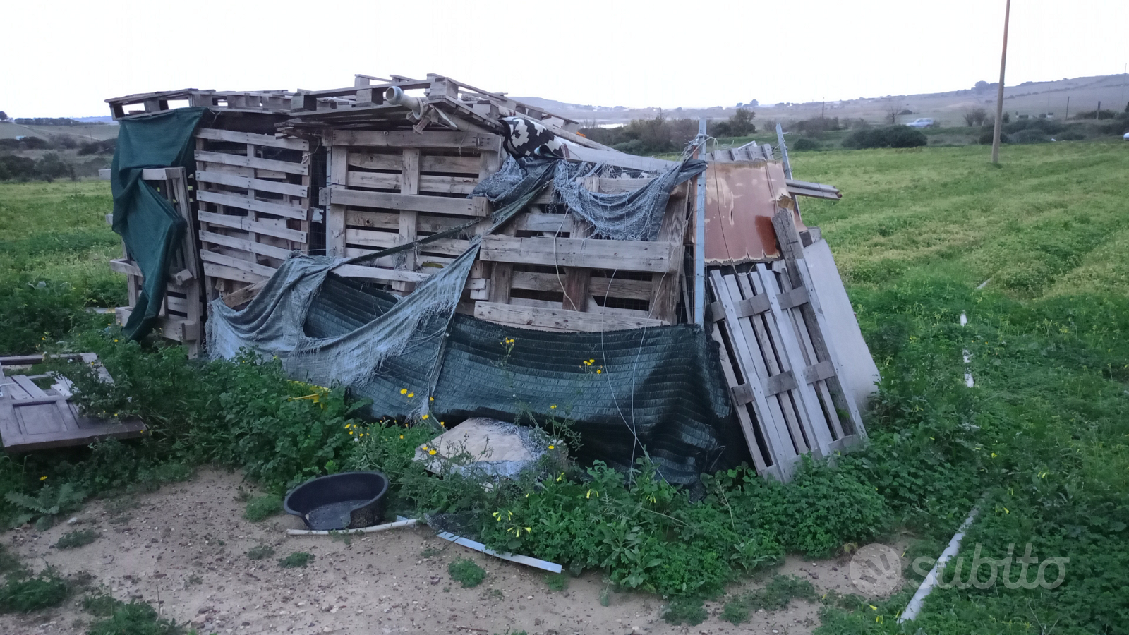 Terreno agricolo Località Su Stangioni - Vista 5