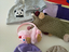 Immagine 1