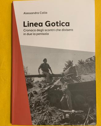 Libro 📕 storia italiana LINEA GOTICA