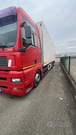 Man Tga 26 430 motrice 9.60 frigo atp valido