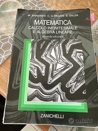 Matematica calcolo infinitesimale e algebra linear