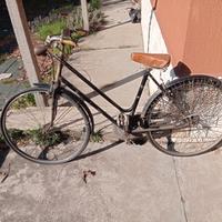 bicicletta donna 