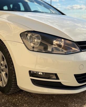 Volkswagen Golf Variant Business 1.6 TDI 105 CV DS