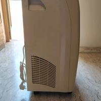Climatizzatore deumidificatore