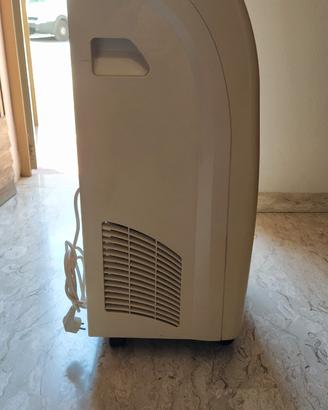 Climatizzatore deumidificatore