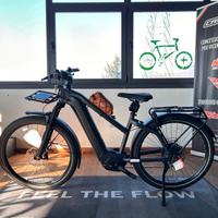 Bicicletta Elettrica Riese&Muller Charger 4