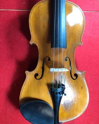 Violino 4/4 Steiner