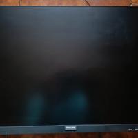 monitor 24°