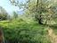 Immagine 21
