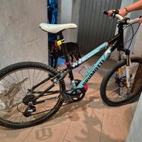 bicicletta Bianchi BRUMOTTI