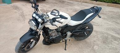 Honda Hornet 600