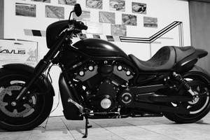 Harley Davidson v rod night Rod special