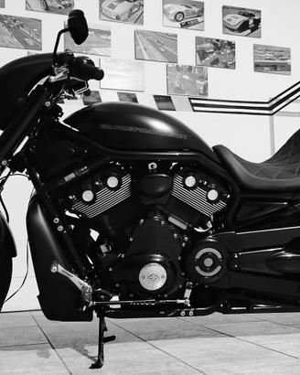 Harley Davidson v rod night Rod special