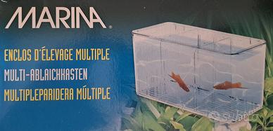 Sala parto, allevamento, quarantena pesci