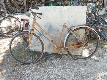 Bici donna Girardengo da sistemare