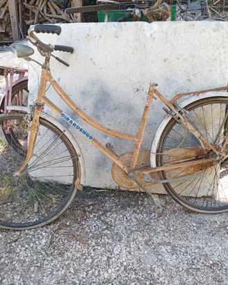 Bici donna Girardengo da sistemare
