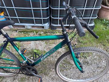 bicicletta adulto