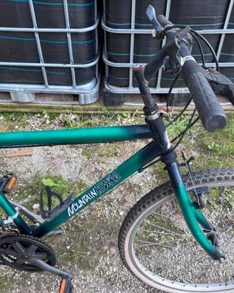 bicicletta adulto