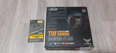 Intel Core i7 10700K + Asus TUF B460M-Plus + 32GB