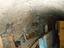 Immagine 26
