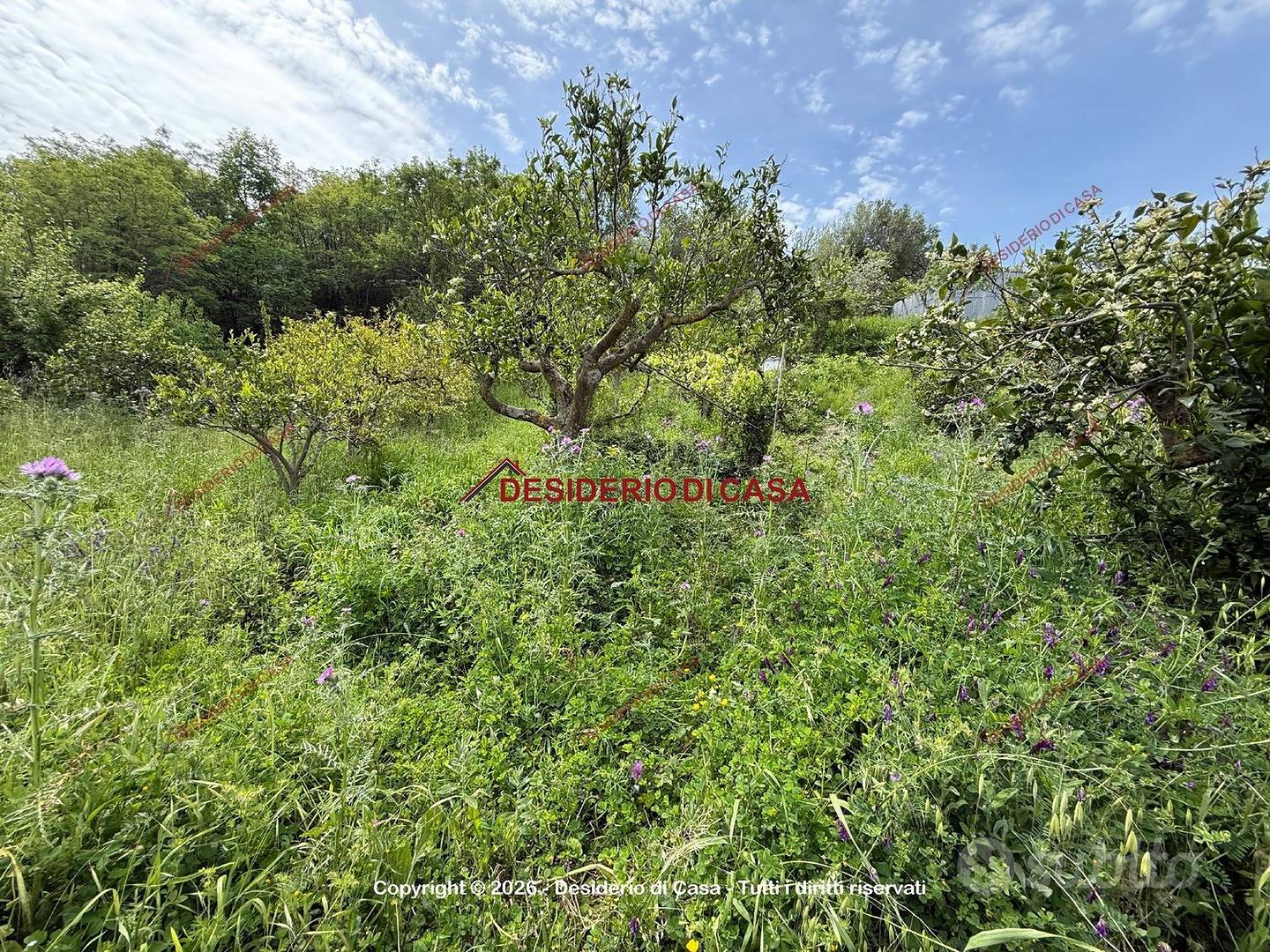 Terreno, Cefalù. - Vista 3